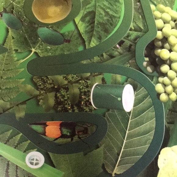 Spot What Picture Hunt Spectacular Book - Picture 9 of 11